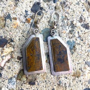 Vintage Sterling Silver Navajo Petrified Wood Earrings!